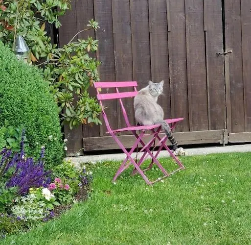 Avec Cheminée Et Extérieur Hébergement de vacances La Neuville-aux-Bois
