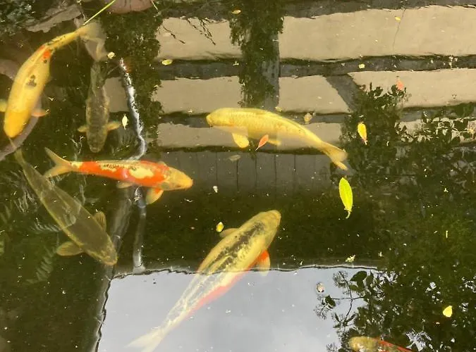 Hébergement de vacances Avec Cheminée Et Extérieur La Neuville-aux-Bois